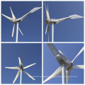 Sky Series 800W Wind Turbine for Homeuse